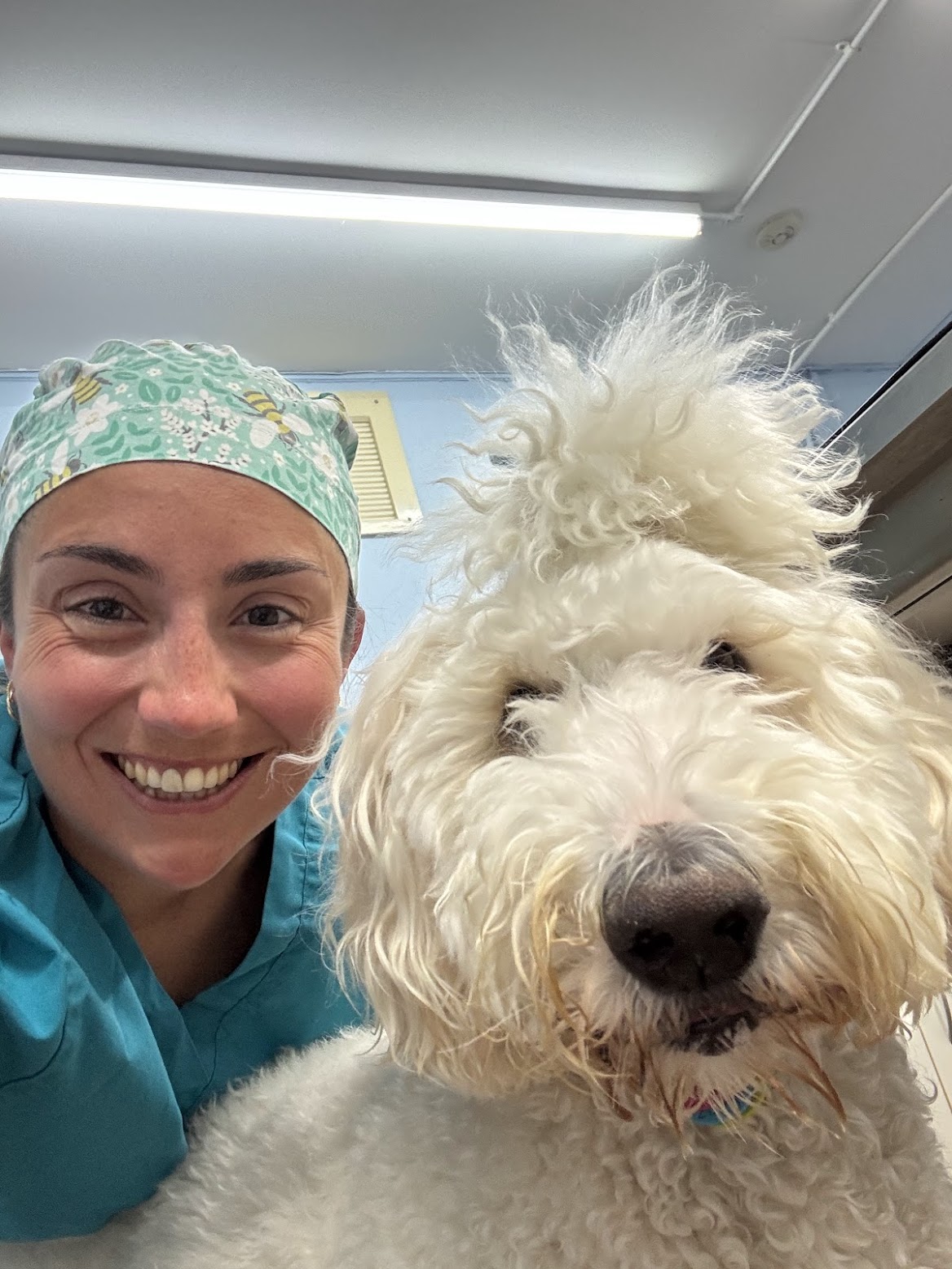 Charlotte smiling with a large white dog patient